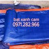 bat-xanh-cam-han-quoc