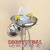 cay-rua-mat-khan-cap-co-dinh-dung