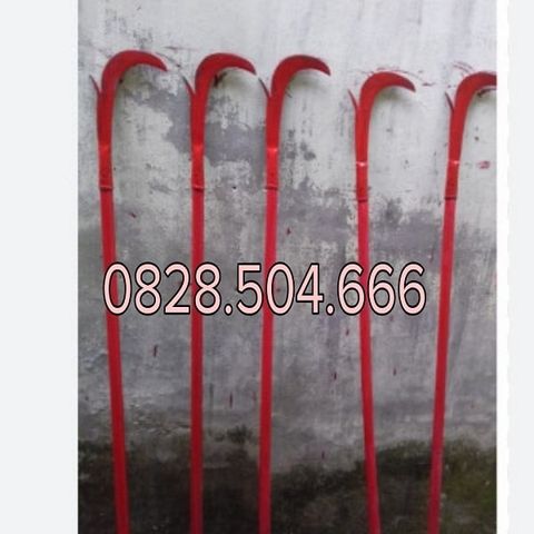 Câu liêm chữa cháy