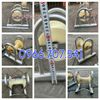 vai-silicone-gia-si-phan-phoi-toan-quoc