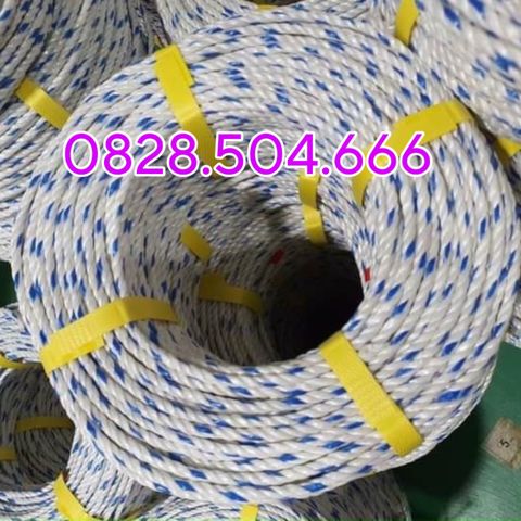 DÂY THỪNG| DÂY CHÃO