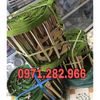 thang-day-thoat-15m
