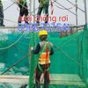 luoi-chong-roi