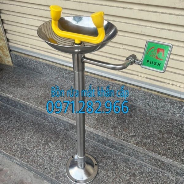 cay-rua-mat-khan-cap-dung