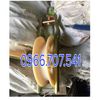 puly-keo-cap-banh-nhua-80x320mm