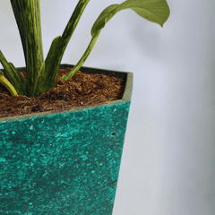 Chậu cây bằng nhựa tái chế (Màu xanh)