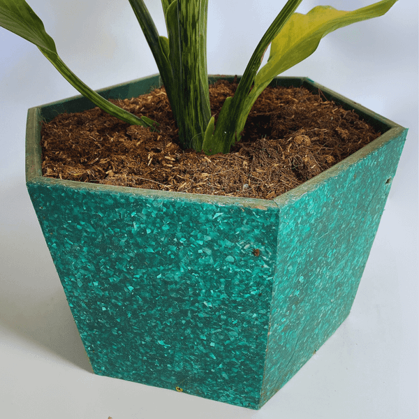 Chậu cây từ nhựa tái chế của công ty Thanh Tùng 2