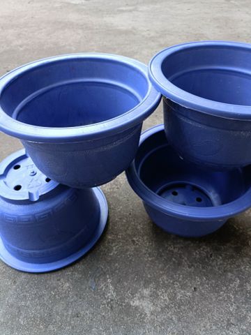 Chậu cây nhựa tái chế
