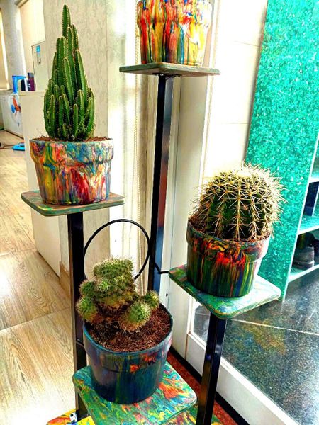 Chậu cây nhựa tái chế