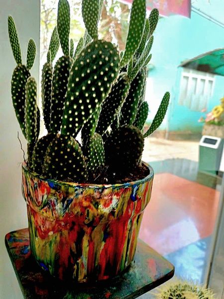 Chậu cây nhựa tái chế