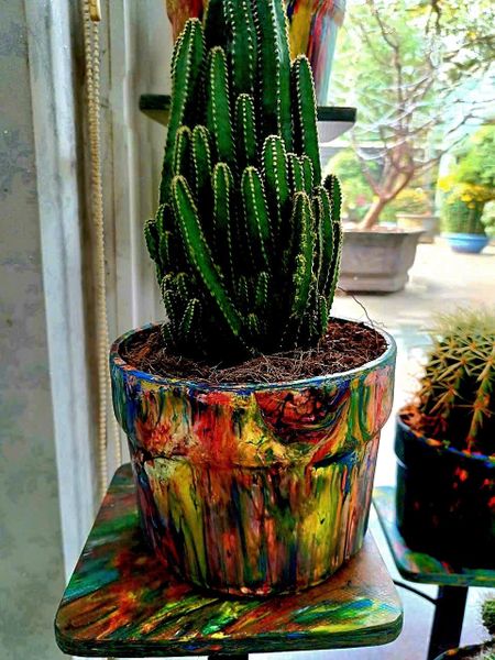 Chậu cây nhựa tái chế