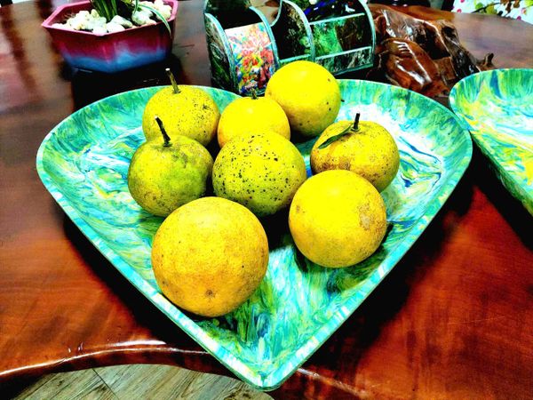 Khay đựng trái cây nhựa tái chế