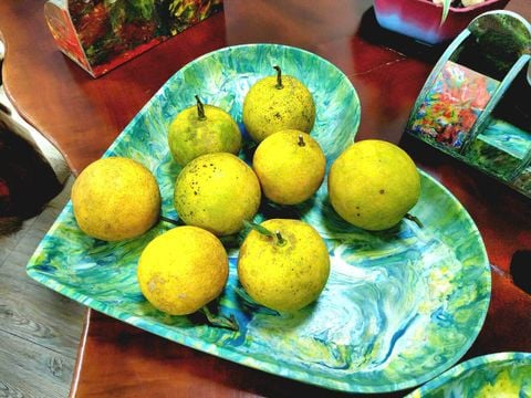 Khay đựng trái cây nhựa tái chế