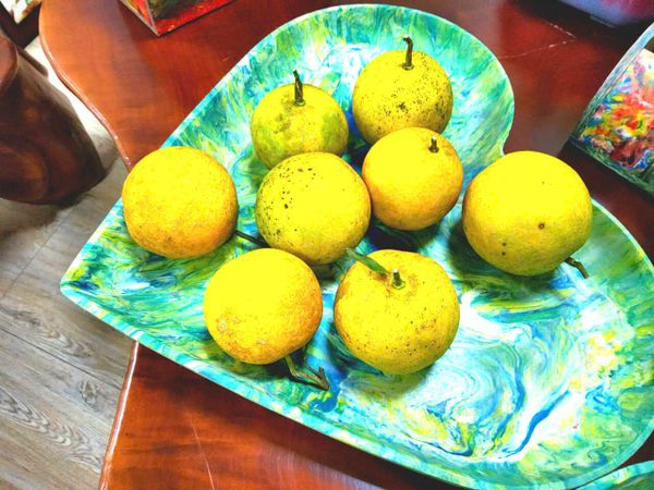 Khay đựng trái cây nhựa tái chế