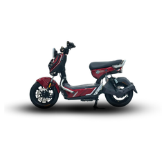 Xe Máy Điện TAILG X51