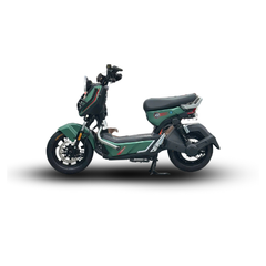 Xe Máy Điện TAILG X51