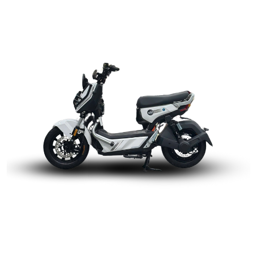 Xe Máy Điện TAILG X51