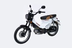 Xe Số 50CC Halim Cross Sport