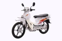 Xe Số 50cc Kawamax