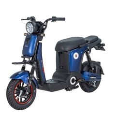 Xe đạp điện Osakar Mandi