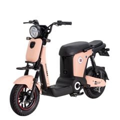 Xe đạp điện Osakar Mandi