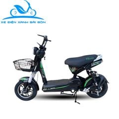 Xe đạp điện Pony 133