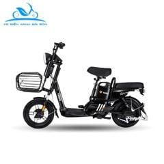 Xe đạp điện Yadea IGO