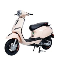 Xe tay ga 50cc Ally Vegas