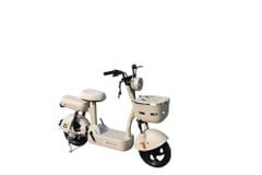Xe đạp điện TAILG JY33