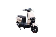 Xe Điện TAILG F52
