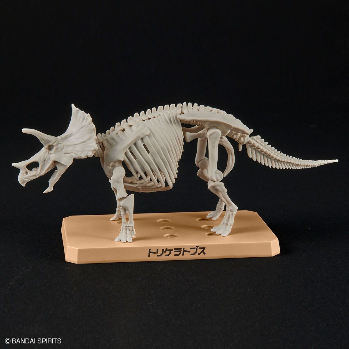  Đồ Chơi Lắp Ráp Mô Hình Plannosaurus Triceratops BANDAI MODEL KIT 4573102642639 