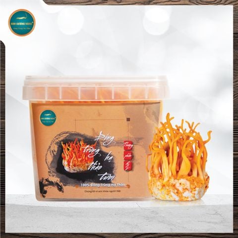 Đông Trùng Hạ Thảo Tươi (Hộp 150g)