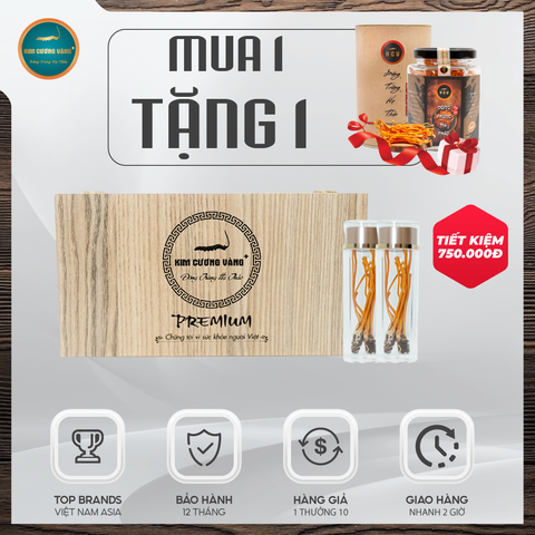 [Mua 1 Tặng 1] Combo Đông Trùng Hạ Thảo Premium (18 Con) Tặng 1 Hộp ĐTHT 10g (Hộp Giấy)