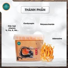 Đông Trùng Hạ Thảo Tươi (Hộp 150g)