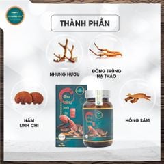 Viên Uống Đông Trùng Linh Chi Nhung Hươu