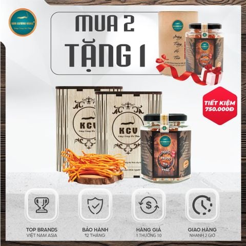 [Mua 2 Tặng 1] Đông Trùng Hạ Thảo Khô 10G