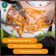 [Mua 3 Tặng 1] Đông Trùng Hạ Thảo Gold 10g