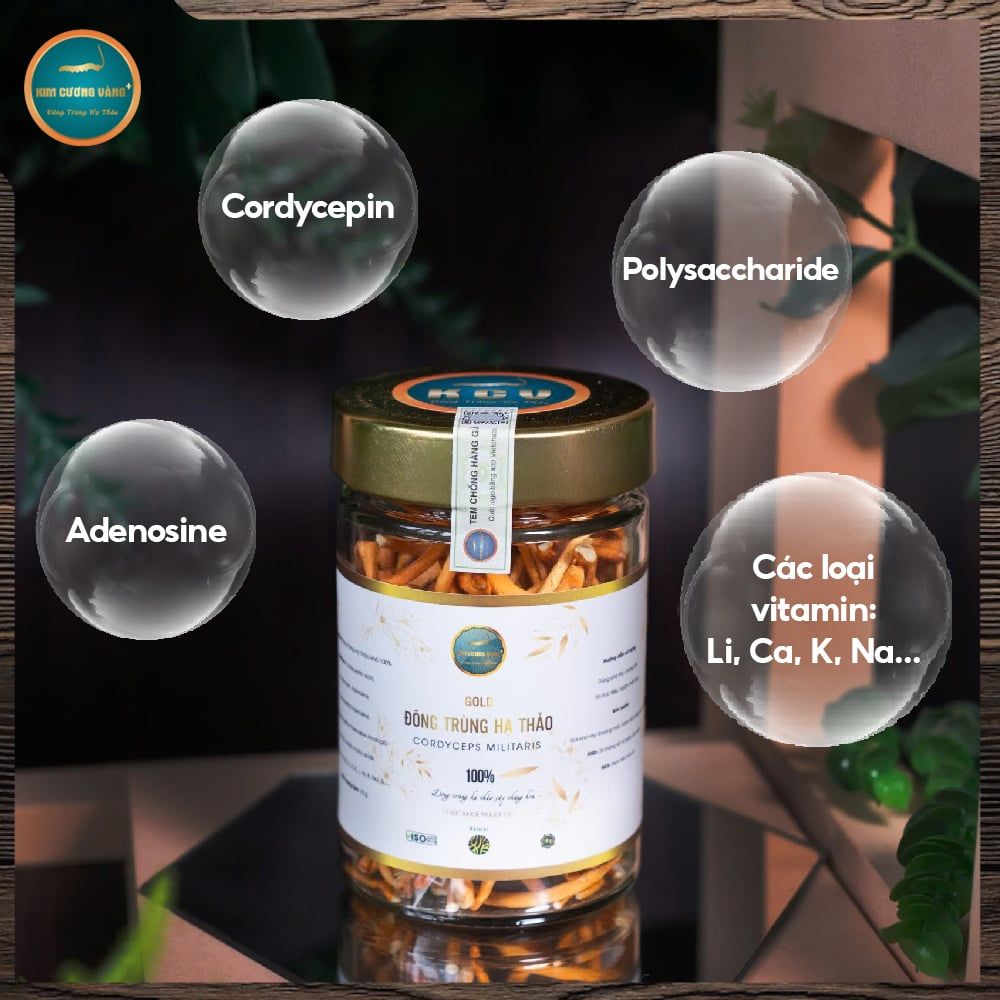 [SỐ LƯỢNG CÓ HẠN] Combo 5 Hộp Đông Trùng Hạ Thảo Gold 10g (Tổng 50G)