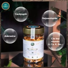 [SỐ LƯỢNG CÓ HẠN] Combo 5 Hộp Đông Trùng Hạ Thảo Gold 10g (Tổng 50G)