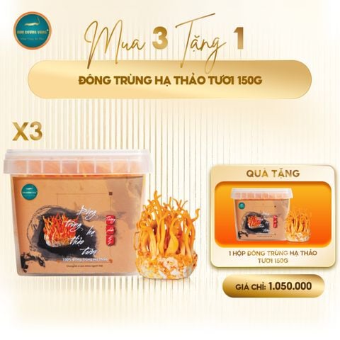 [Mua 3 Tặng 1] Đông Trùng Hạ Thảo Tươi 150g