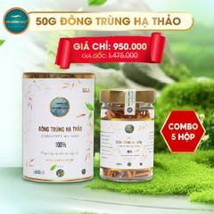 [SỐ LƯỢNG CÓ HẠN] Combo 5 Hộp Đông Trùng Hạ Thảo Gold 10g (Tổng 50G)
