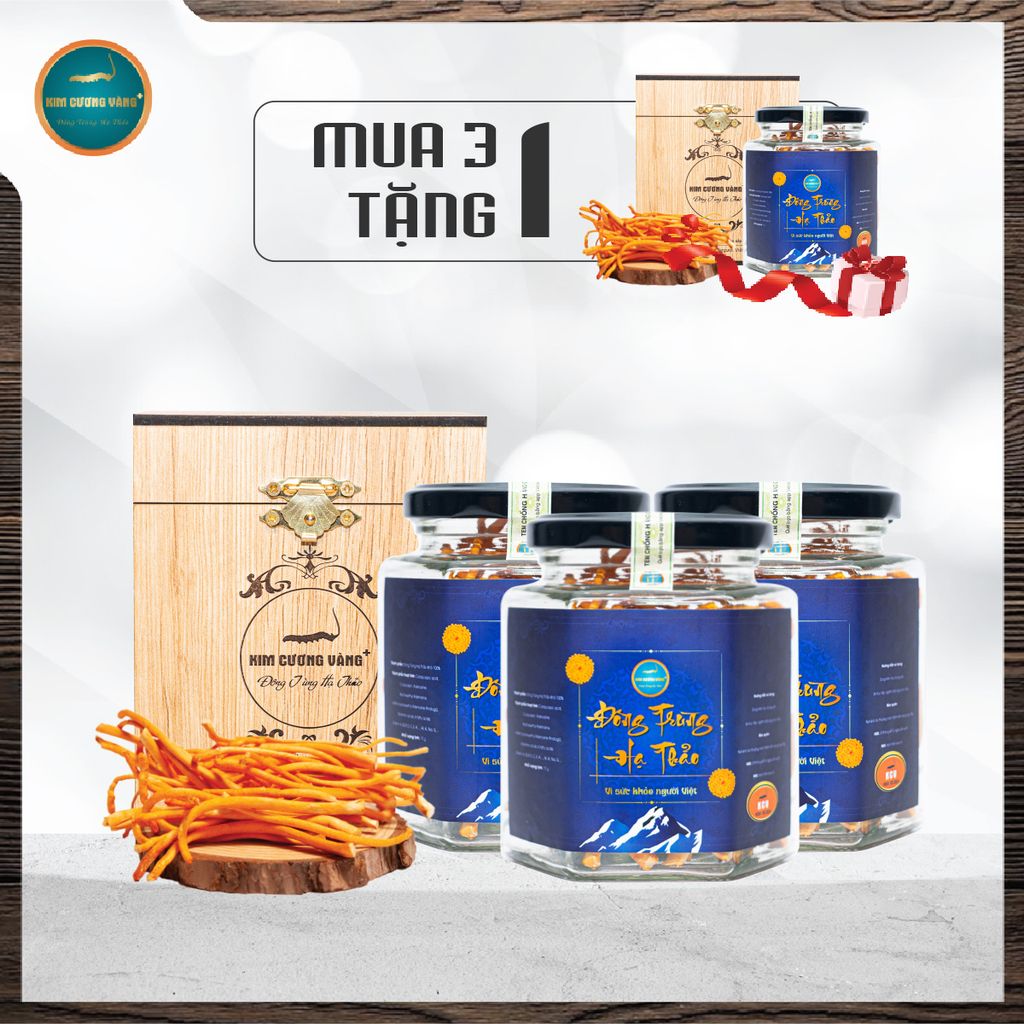 [Mua 3 Tặng 1] Đông Trùng Hạ Thảo Thượng Phẩm 15g