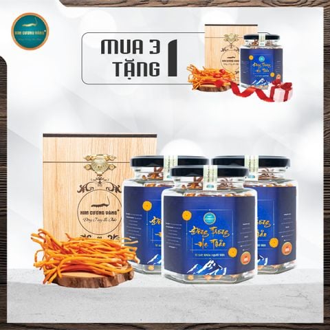 [Mua 3 Tặng 1] Đông Trùng Hạ Thảo Thượng Phẩm 15g