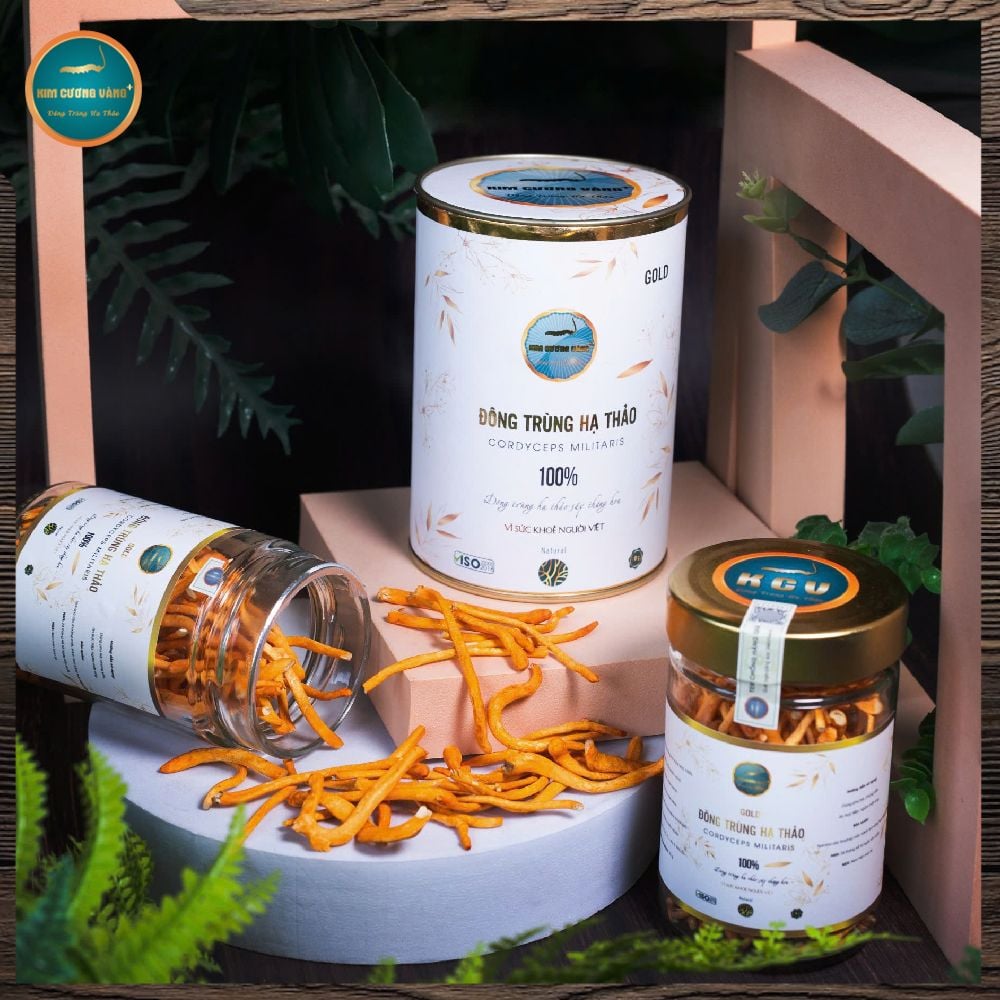 [SỐ LƯỢNG CÓ HẠN] Combo 5 Hộp Đông Trùng Hạ Thảo Gold 10g (Tổng 50G)