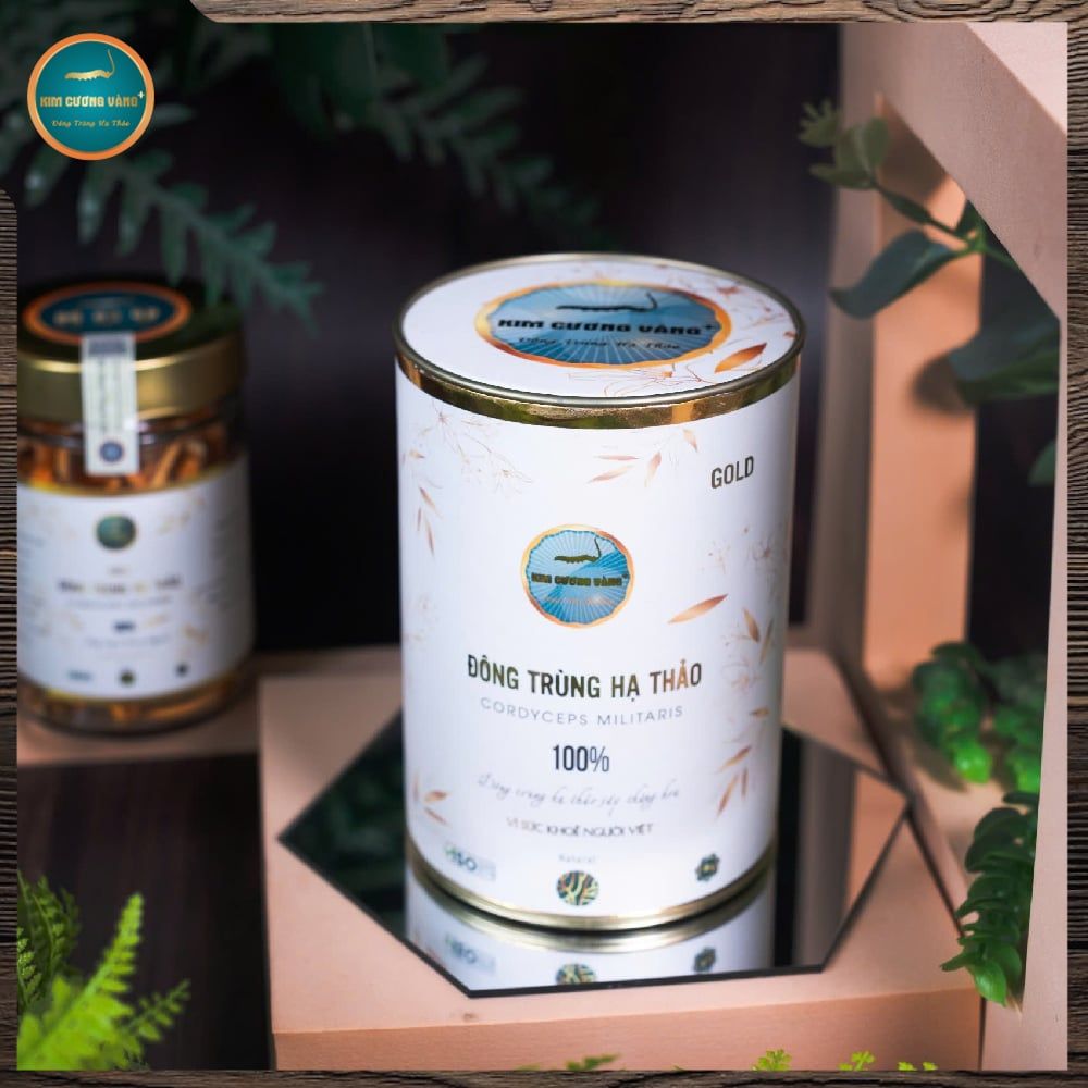 [SỐ LƯỢNG CÓ HẠN] Combo 5 Hộp Đông Trùng Hạ Thảo Gold 10g (Tổng 50G)
