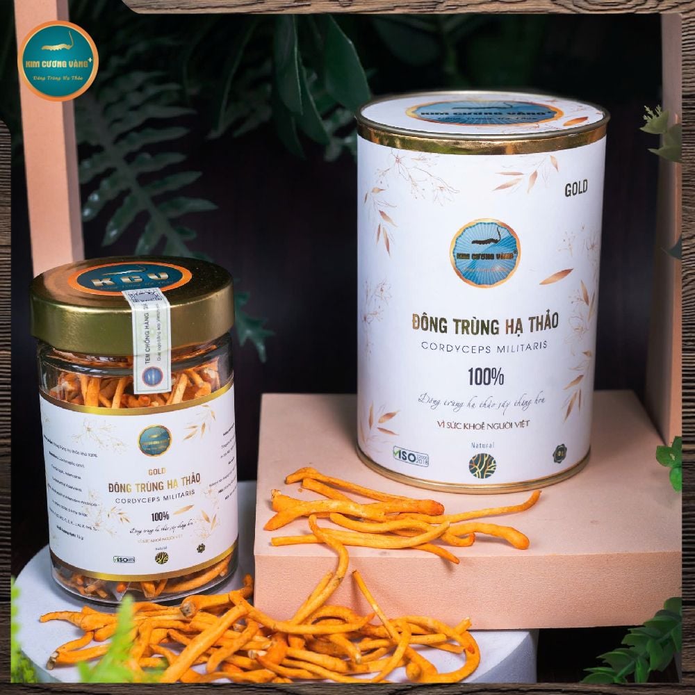 [SỐ LƯỢNG CÓ HẠN] Combo 5 Hộp Đông Trùng Hạ Thảo Gold 10g (Tổng 50G)