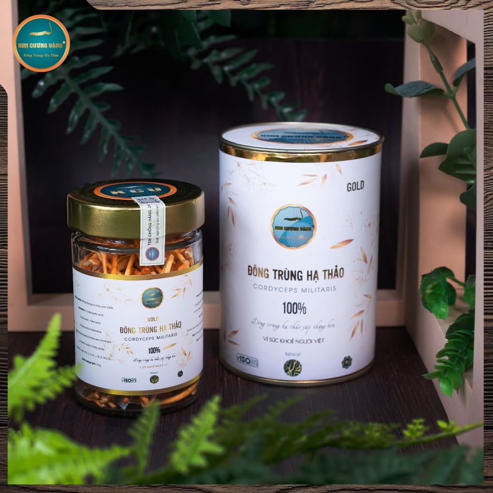 [SỐ LƯỢNG CÓ HẠN] Combo 5 Hộp Đông Trùng Hạ Thảo Gold 10g (Tổng 50G)