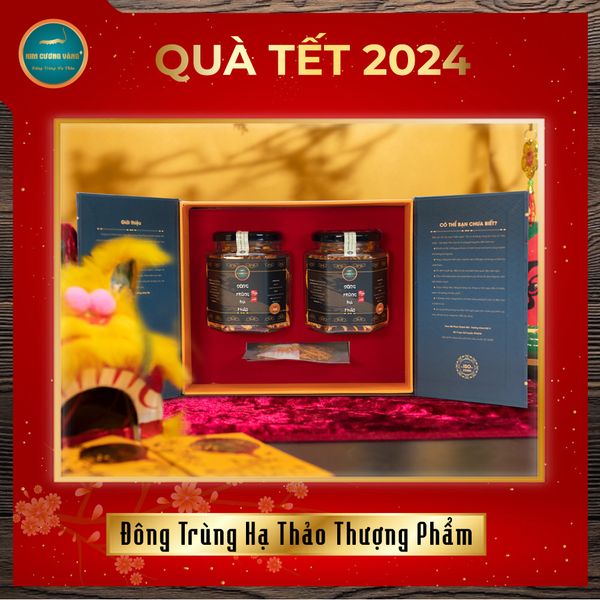 Combo Quà Tết Đông Trùng Hạ Thảo Thượng Phẩm