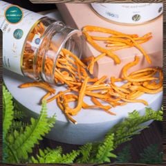 [SỐ LƯỢNG CÓ HẠN] Combo 5 Hộp Đông Trùng Hạ Thảo Gold 10g (Tổng 50G)