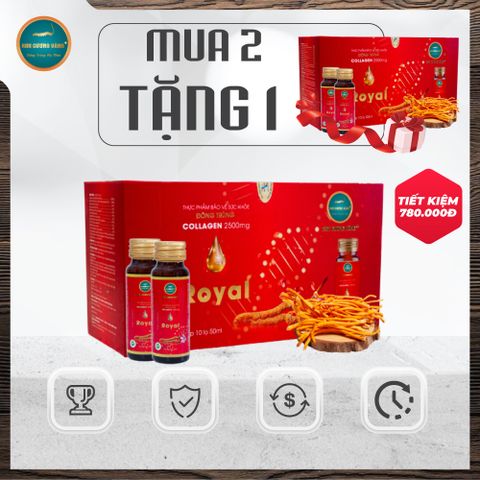 [Mua 2 Tặng 1] Collagen Đông Trùng Hạ Thảo (Hộp 10 Chai)